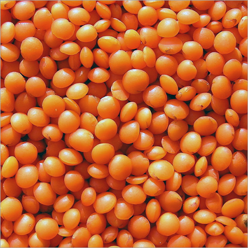 Lentils