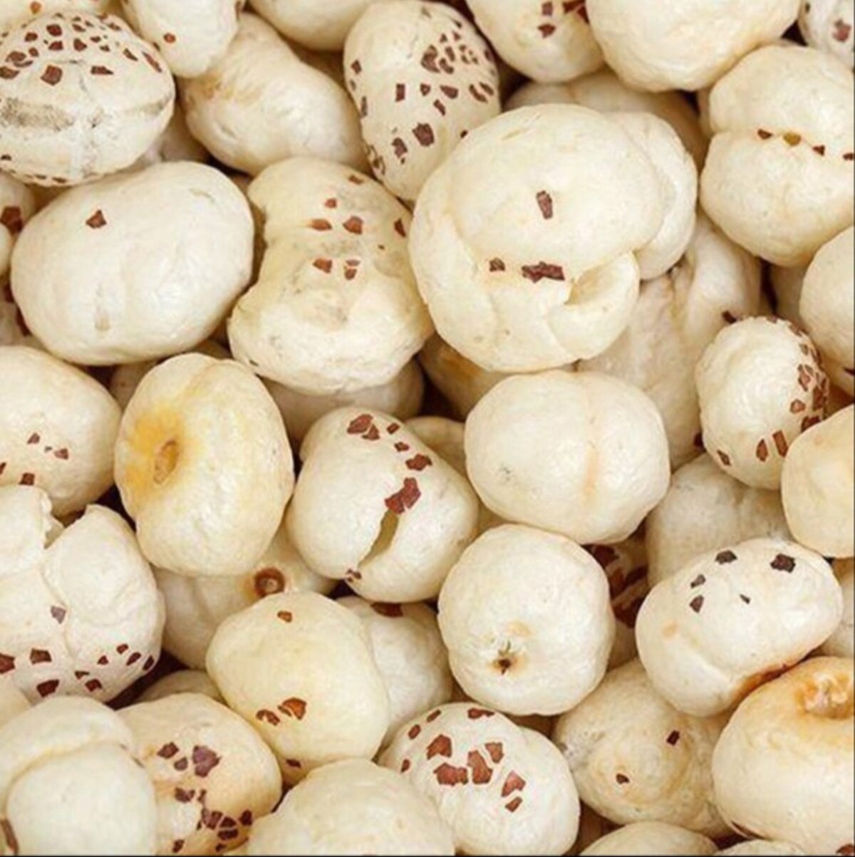 Makhana